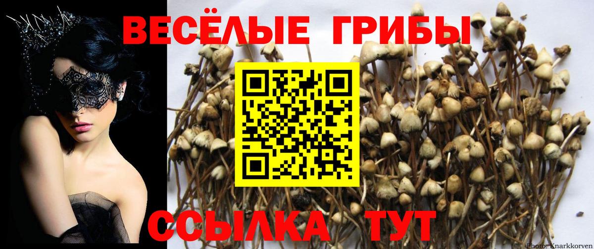 Галлюциногенные грибы ЛСД Кушва